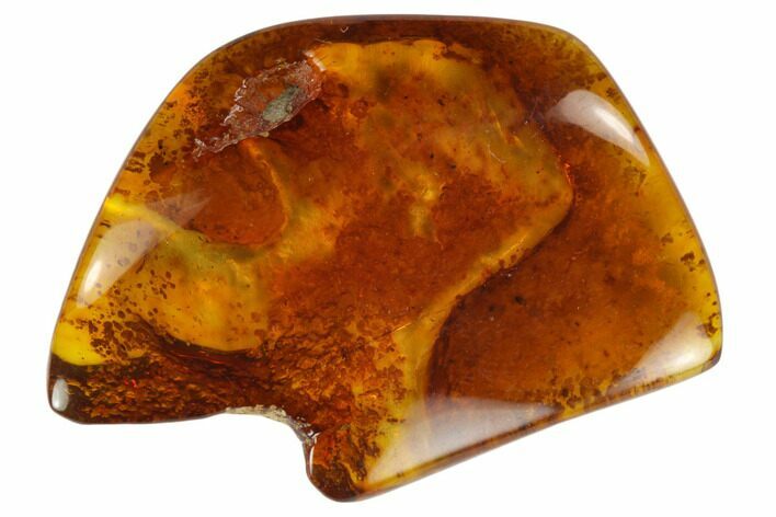 Polished Chiapas Amber ( g) - Mexico #114800